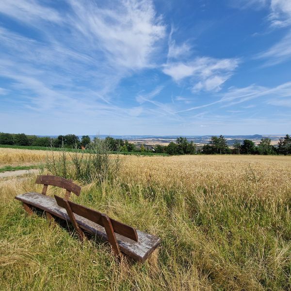 Bank mit zwei Sitzrichtungen im Feld – lösungsfokussierte Kurzzeittherapie