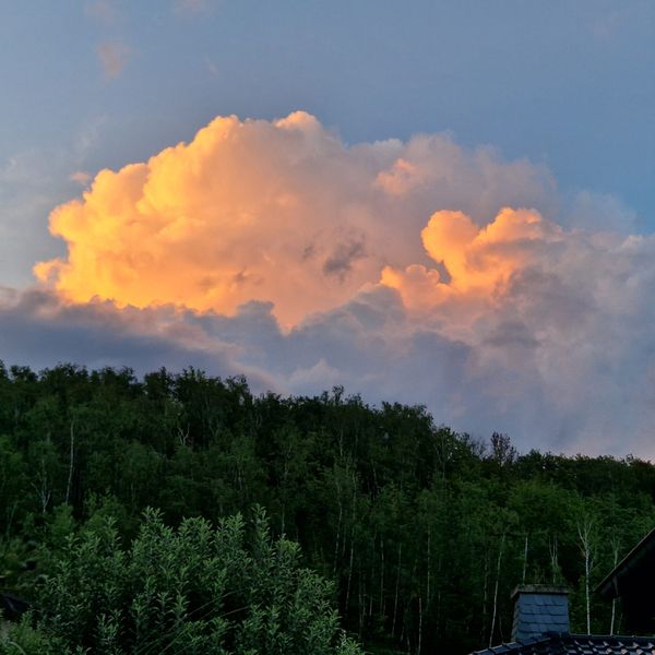 Sonne hinter den Wolken – Internal Family System (IFS)